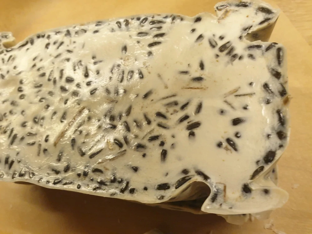 Lojová směs se slunečnicí 1kg