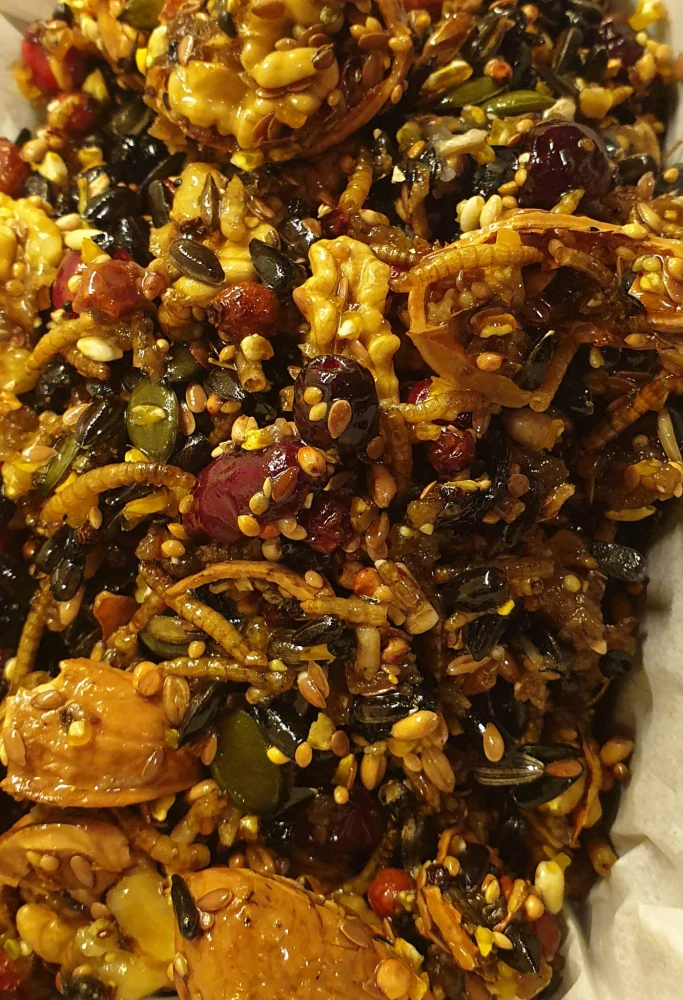 Lojová směs s červy a bobulemi 1kg
