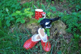 S duší pindruší :-) 